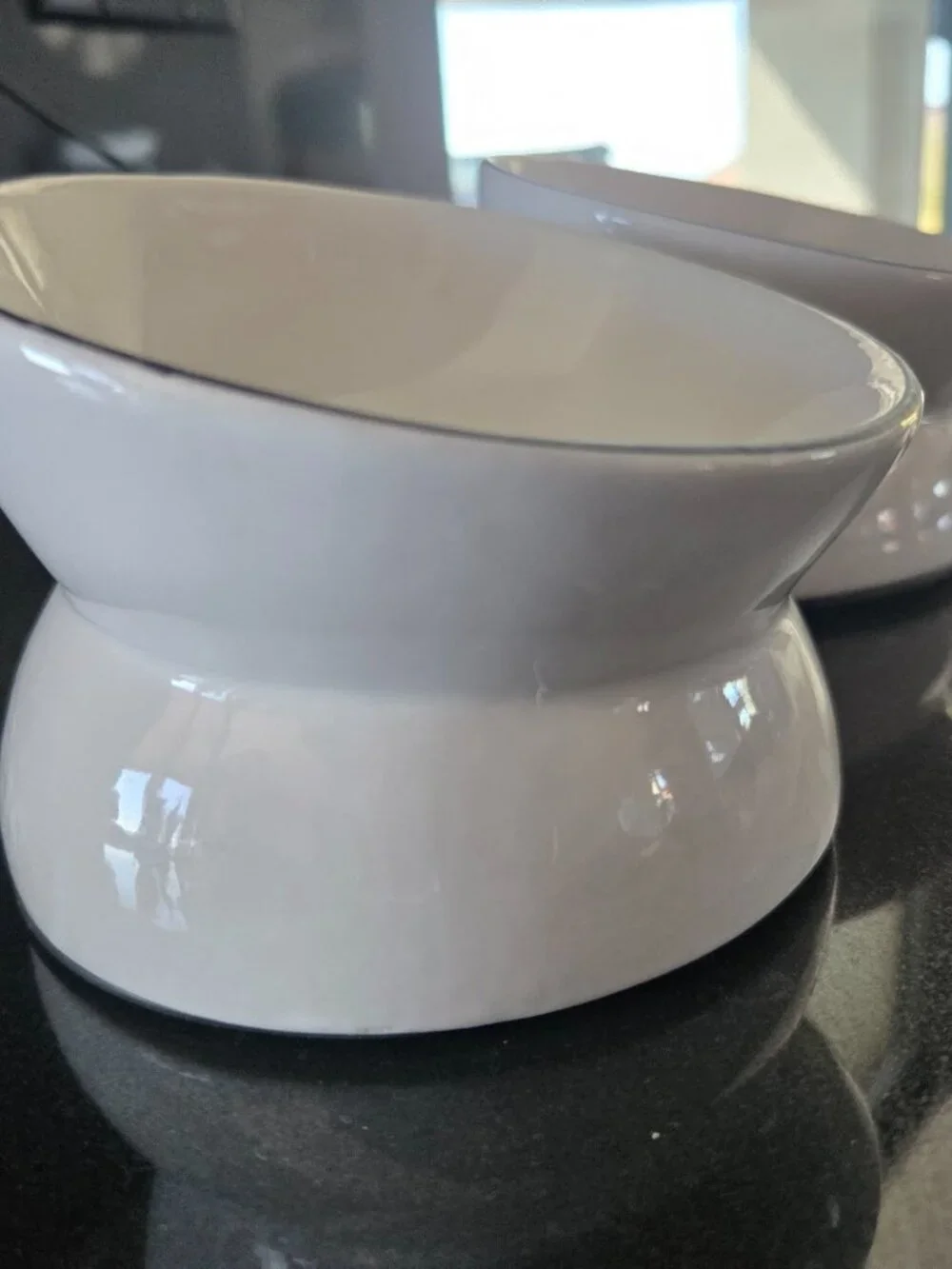 2 Tommy Bahama Pet Bowls